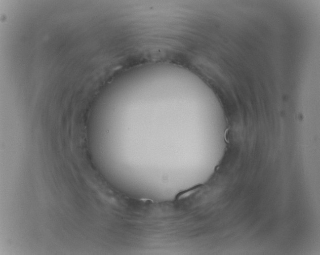 X0000076430865200610202242