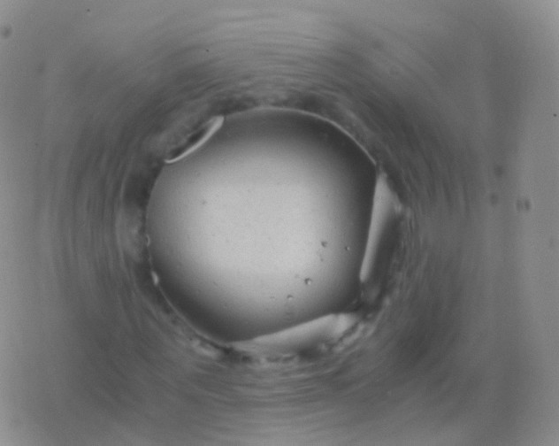 X0000076430867200610202242