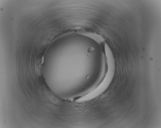 X0000076430868200610202242