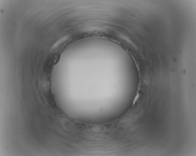 X0000076430869200610202242