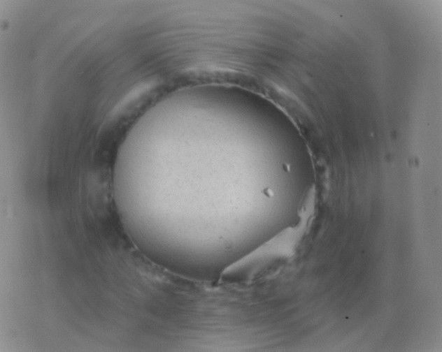 X0000076430870200610202242