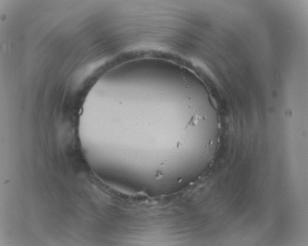 X0000076430872200610202242