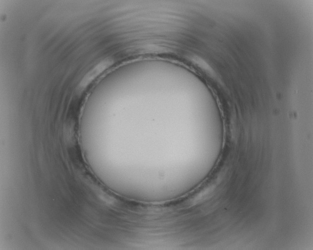 X0000076430873200610202242