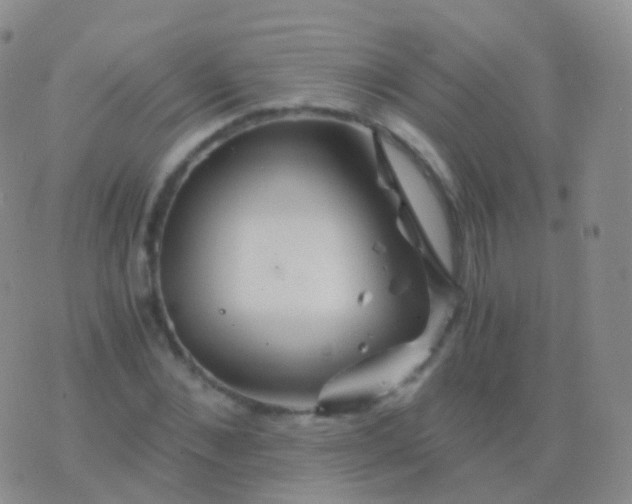 X0000076430876200610202242