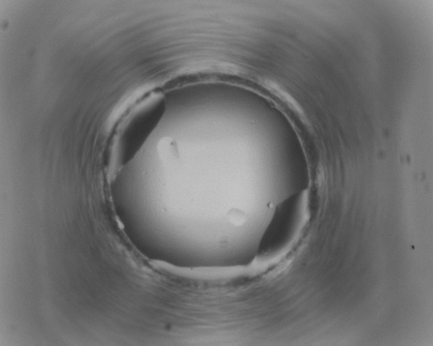 X0000076430877200610202242