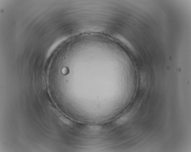 X0000076430878200610202242