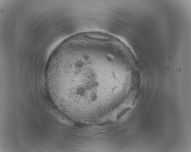 X0000076430879200610202242