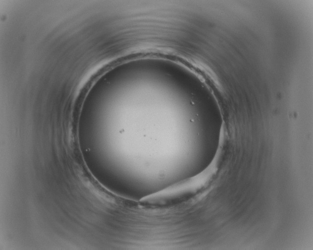 X0000076430880200610202242