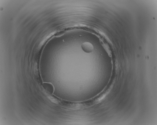 X0000076430881200610202242