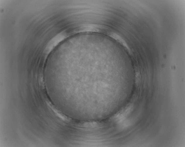 X0000076430882200610202242