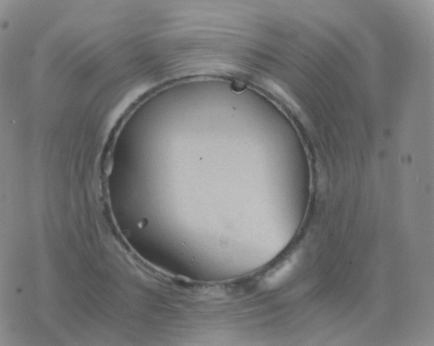 X0000076430883200610202242