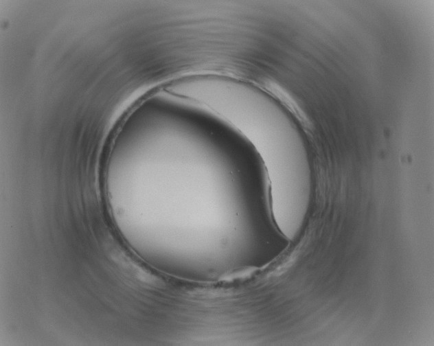 X0000076430884200610202242