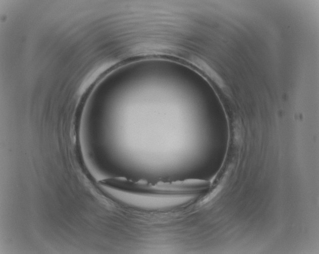 X0000076430885200610202242