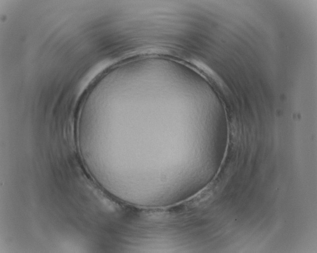 X0000076430886200610202242