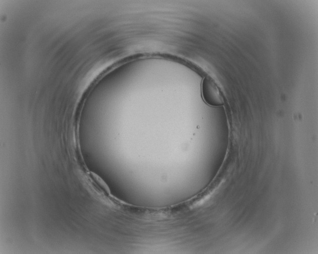 X0000076430887200610202242