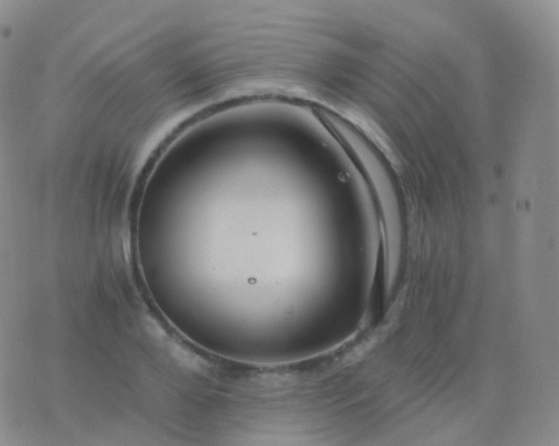 X0000076430888200610202242