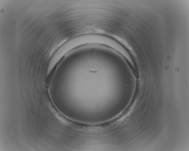 X0000076430889200610202242