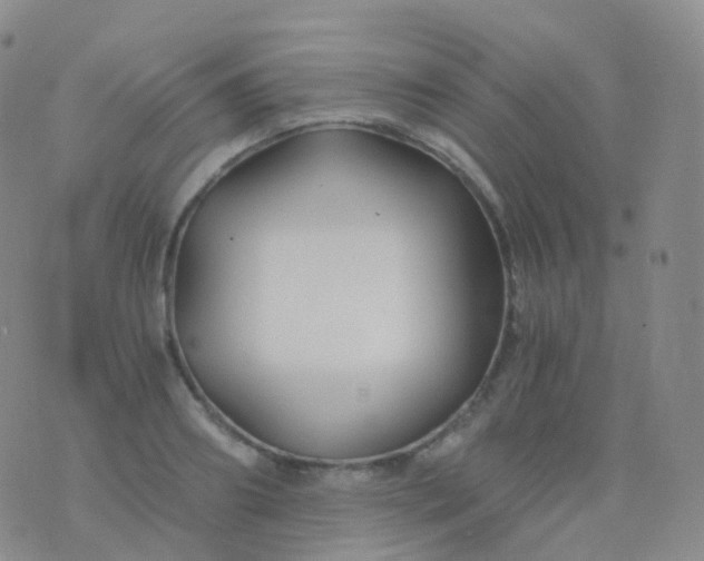 X0000076430890200610202242