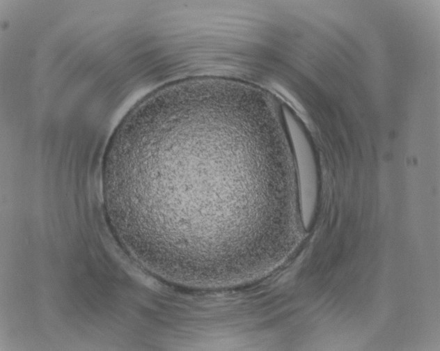 X0000076430891200610202242