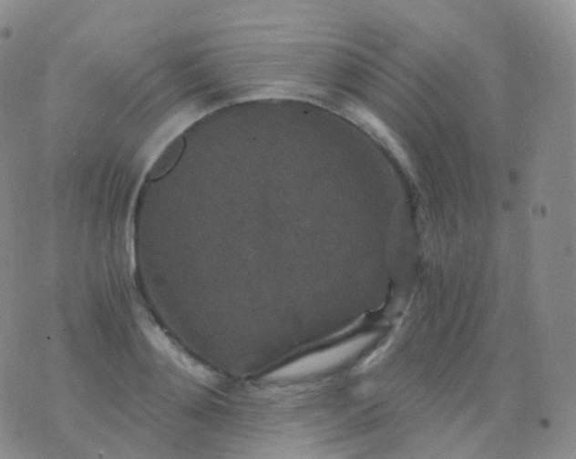 X0000076430892200610202242