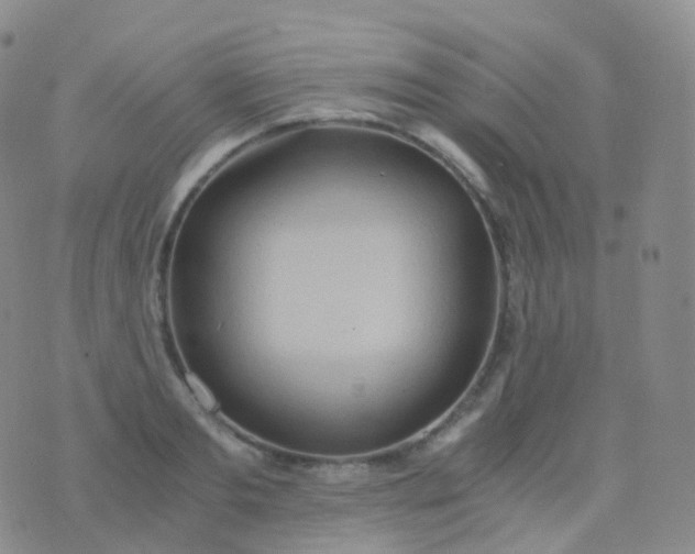 X0000076430893200610202242