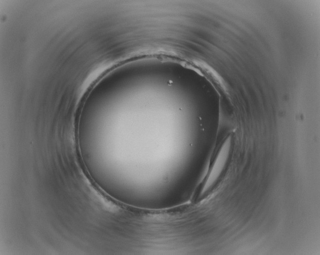 X0000076430894200610202242