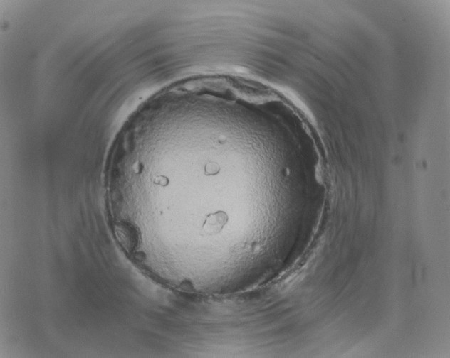 X0000076430895200610202242