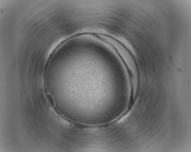 X0000076430896200610202242