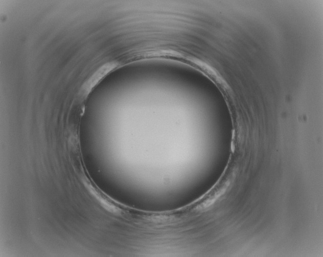 X0000076430897200610202242