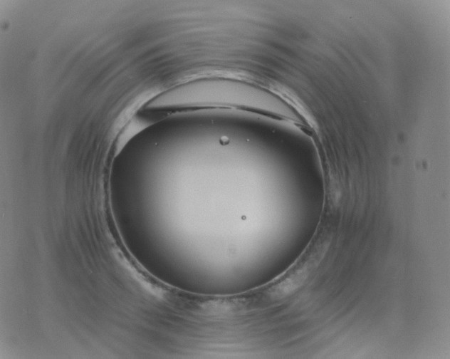 X0000076430898200610202242