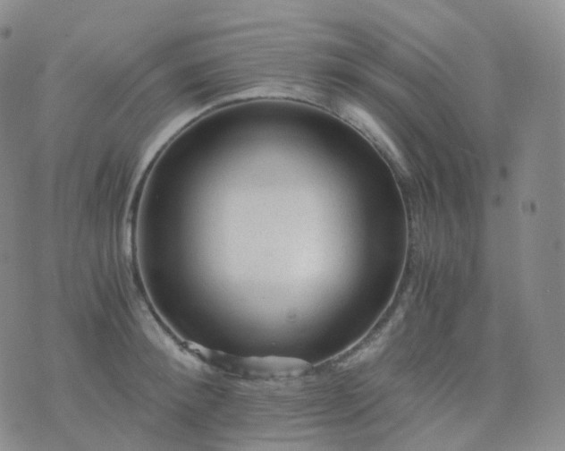 X0000076430900200610202242