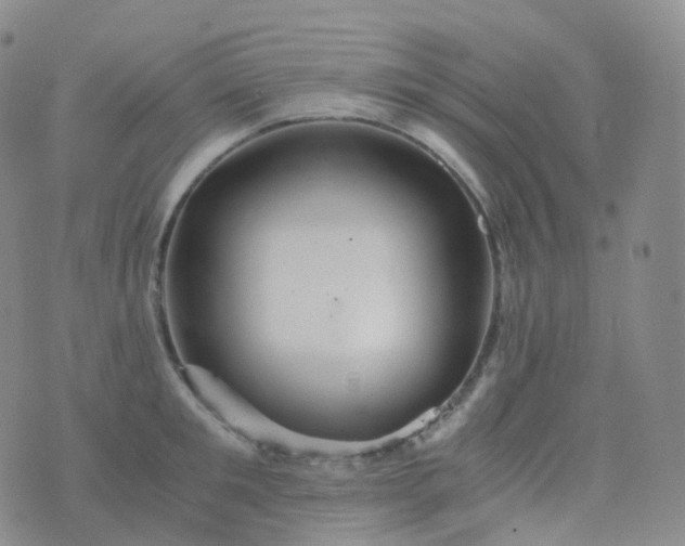 X0000076430901200610202242