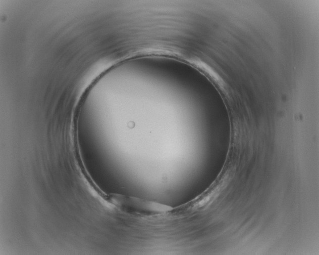 X0000076430902200610202242