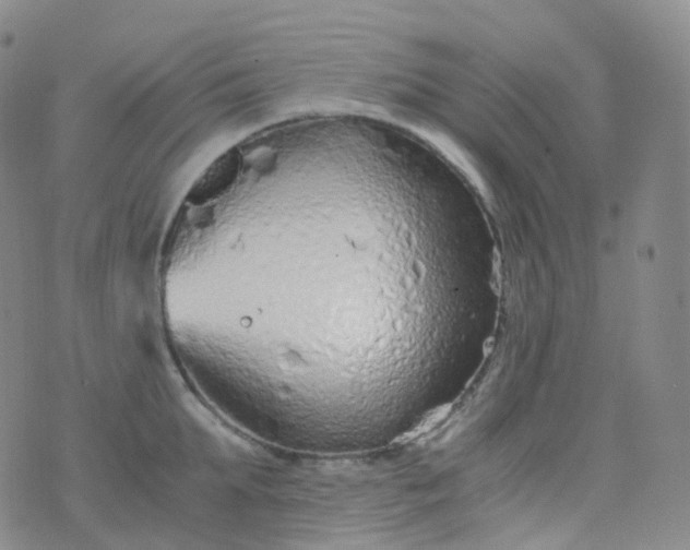 X0000076430903200610202242