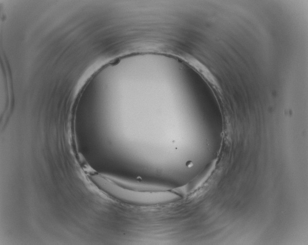 X0000076430904200610202242