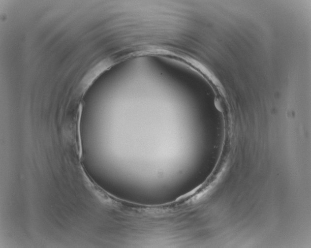 X0000076430905200610202242