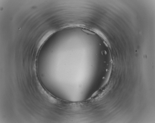 X0000076430906200610202242