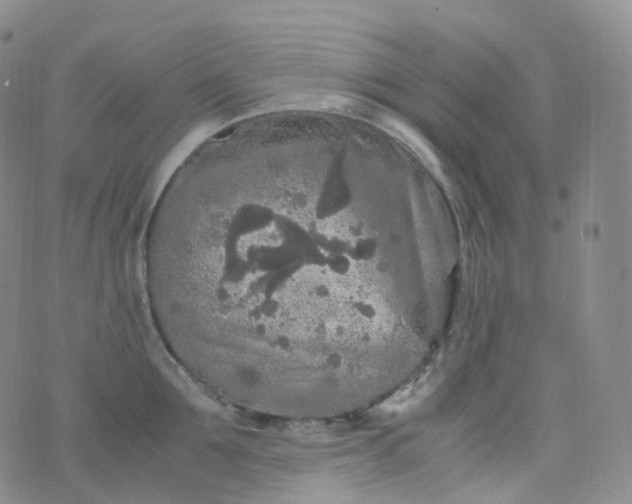 X0000076430907200610202242