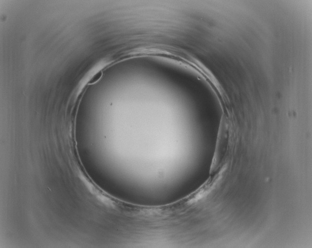 X0000076430909200610202242