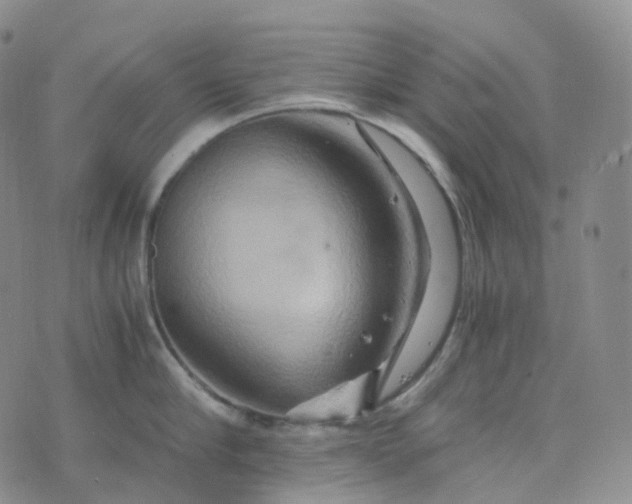 X0000076430910200610202242