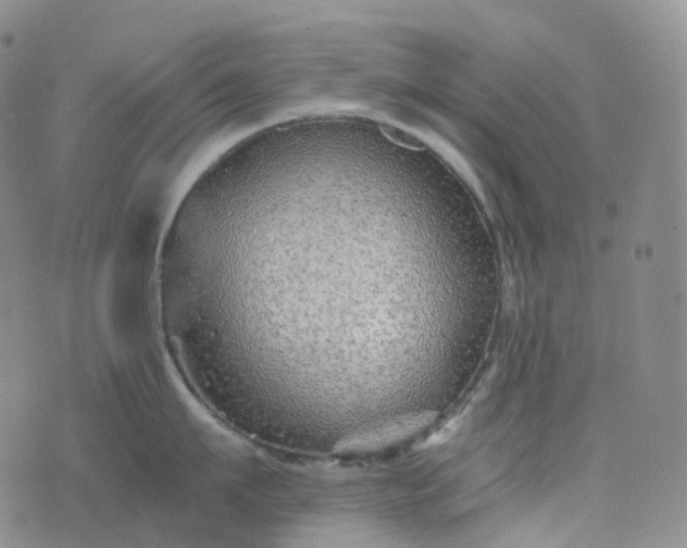 X0000076430911200610202242