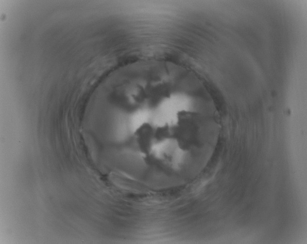 X0000076430913200610202241