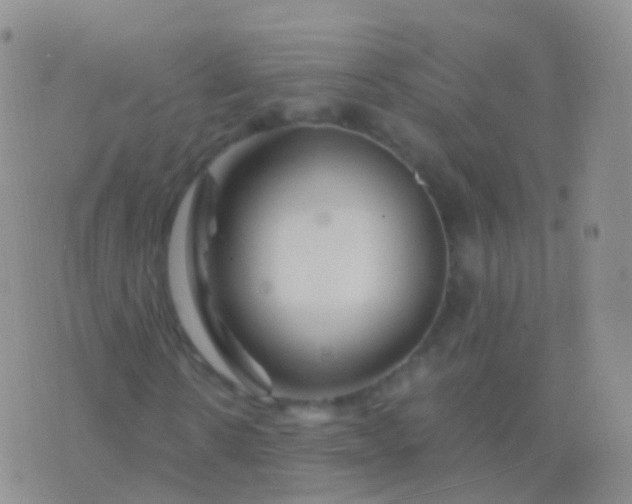 X0000076430914200610202241