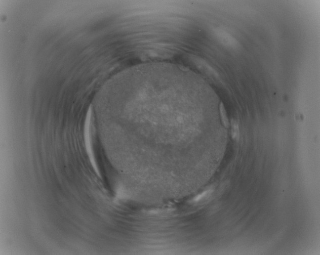 X0000076430915200610202241