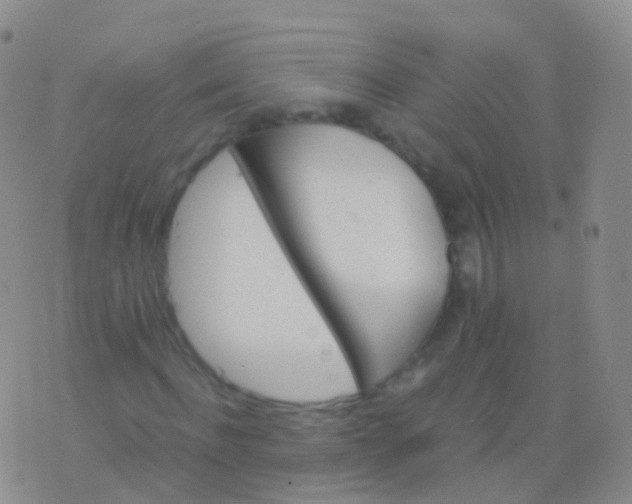 X0000076430916200610202241