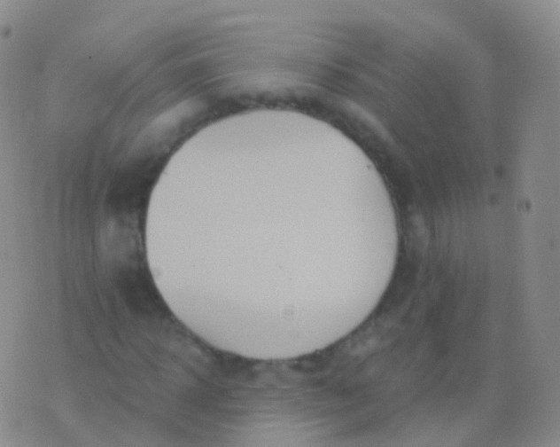 X0000076430918200610202241