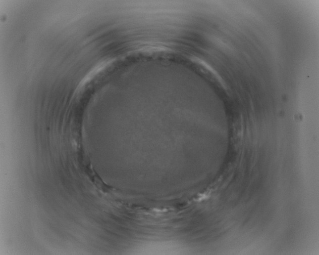 X0000076430919200610202241