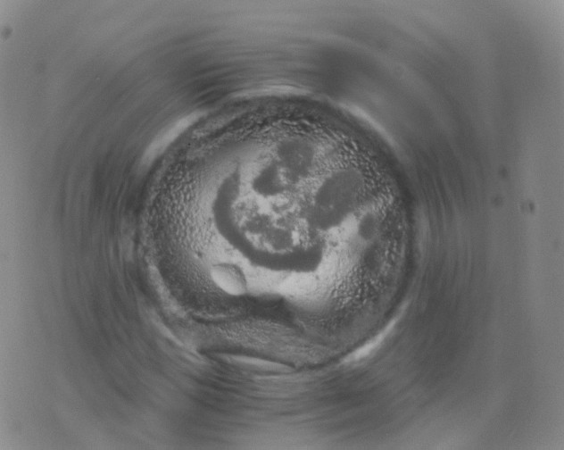 X0000076430921200610202241