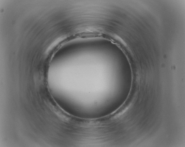 X0000076430922200610202241