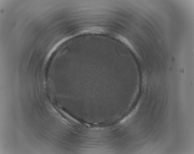 X0000076430923200610202241